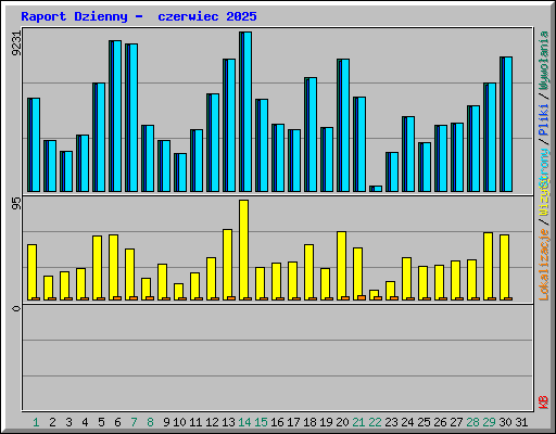 Raport Dzienny -  czerwiec 2025