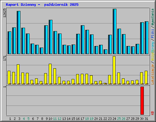 Raport Dzienny -  pa�dziernik 2025