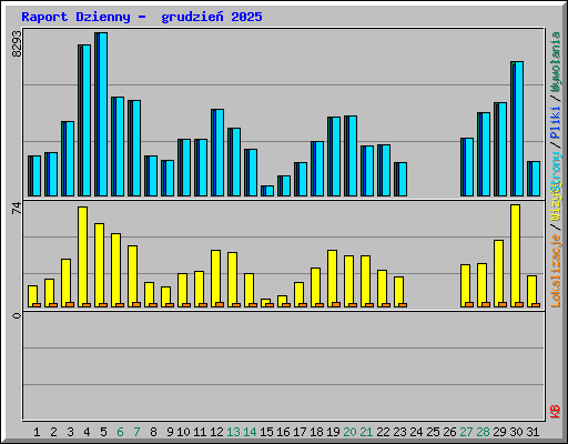 Raport Dzienny -  grudzie� 2025