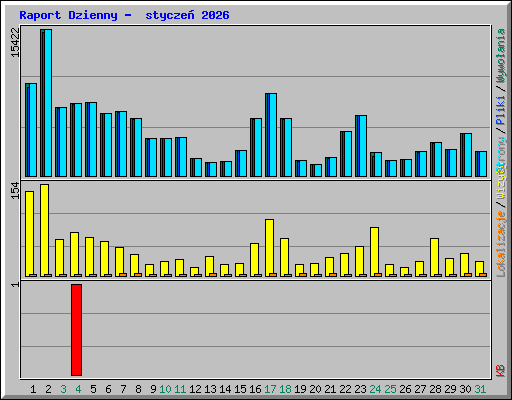 Raport Dzienny -  stycze� 2026
