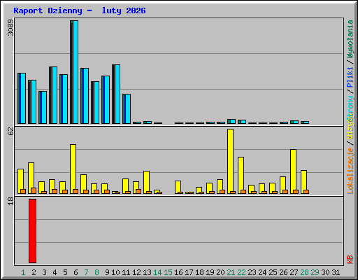 Raport Dzienny -  luty 2026