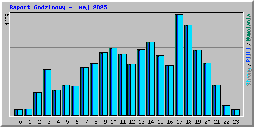 Raport Godzinowy -  maj 2025
