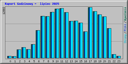 Raport Godzinowy -  lipiec 2025