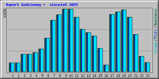 Raport Godzinowy -  sierpie� 2025