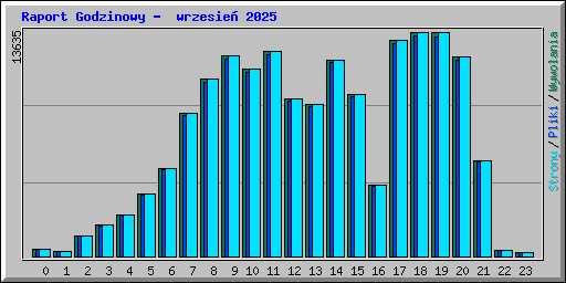 Raport Godzinowy -  wrzesie� 2025