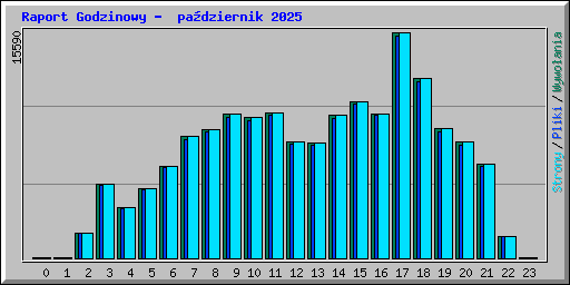 Raport Godzinowy -  pa�dziernik 2025