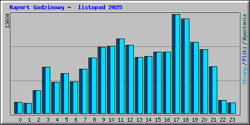 Raport Godzinowy -  listopad 2025