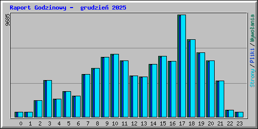 Raport Godzinowy -  grudzie� 2025