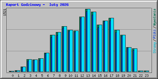 Raport Godzinowy -  luty 2026