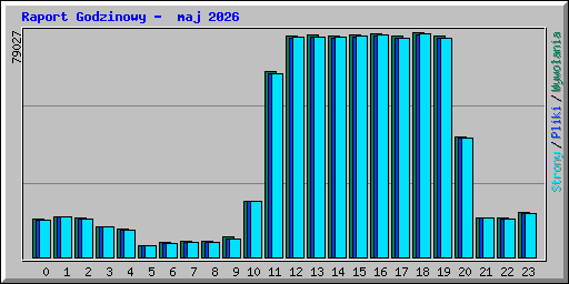 Raport Godzinowy -  maj 2026