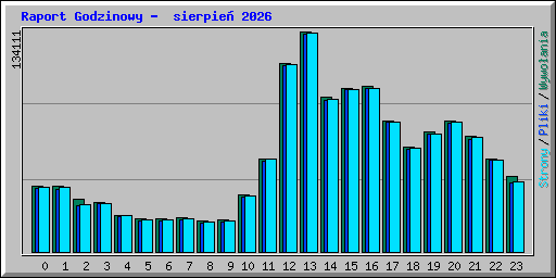 Raport Godzinowy -  sierpie� 2026